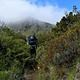 two backpackers walk a narrow trail surrounded by lush greenery and mountain and clouds in distance