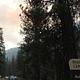 Sunshines down behind trees in the mountain view campground