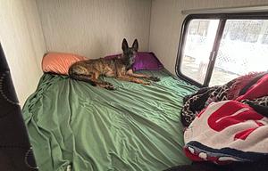 Tim and Kelsey’s Bunkbed & Queen