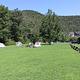 Colorful tents seen on the green grass of Steel Creek Campground. Green trees and a gray bluff line can be seen in the background.