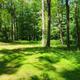 Campspot slideshow image 3
