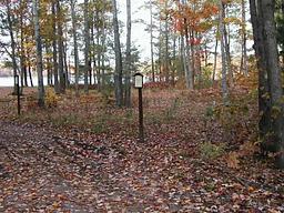 Lyman Lake Campsites