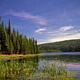 Jubilee Lake showing water, shoreline, grass, trees and a blue sky.