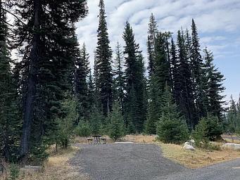 Single site with graveled parking, and picnic table surrounded by tall conifer trees.