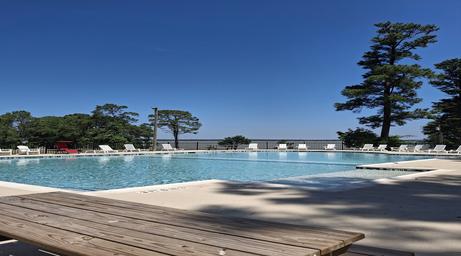 Enjoy our Lake Livingston RV Park's Pool