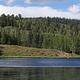 Upper Barker Reservoir surrounded by aspen and conifer trees.