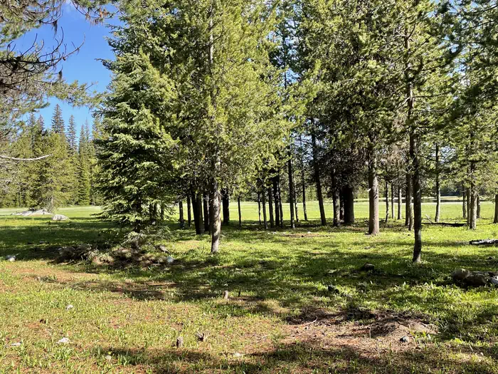 Mud Lake Campground