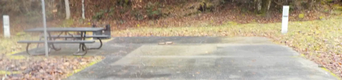 Lower Twin Campground (VA)