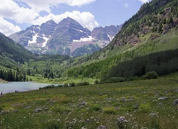 The purple Maroon Bells peaks over Maroon Lake with wildflowers in the foreground