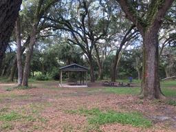 Sunnyhill Restoration Area SJRWMD