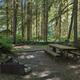 campsite in woods