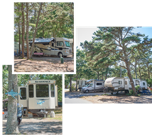 Old Chatham RV Resort