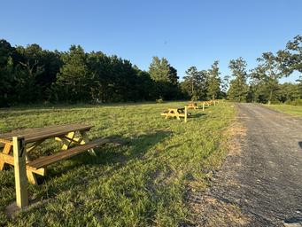 Ouachita Outpost