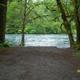 MCKENZIE BRIDGE