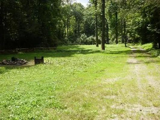 001, Loop: WASH CREEK HORSE CAMP
