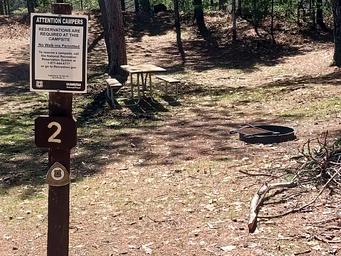 JACKPINE LAKE CAMPSITE 2