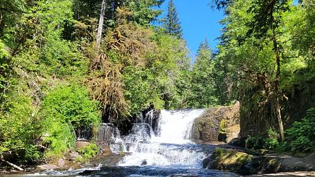 Alsea Falls Recreation Site (Campground)