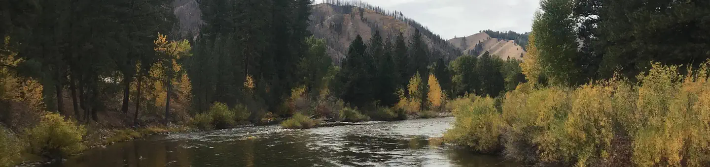 Baumgartner Campground