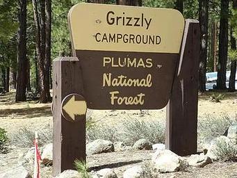 GRIZZLY Entrance
