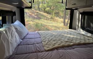 Dazzle Camper Van