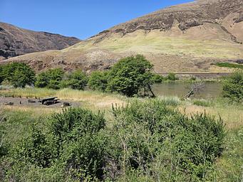 Jones Canyon Campground