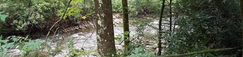 Black Mountain Campground