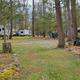 Photo of wooded RV sites with multiple trailers visible among trees — shows campsite layout and typical RV pitch area on the property.