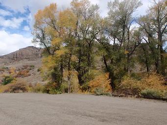 001, Loop: RED CREEK GROUP SITE