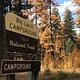 Big Larch Campground Entrance Sign. It reads: Big Larch Campground, Lolo National Forest, U.S. Department of Agriculture, Campground. Western Larch trees displaying fall colors can be seen in the background. 