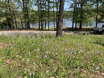 Buckhorn Creek