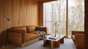 Piaule Catskill
