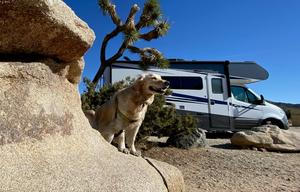 Mercedes Winnebago Vita - Luxury and Comfort
