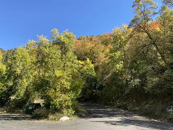 A photo of facility MUELLER PARK GROUP PICNIC with No Amenities Shown