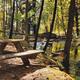 Picnic table beside a small woodland stream with trees and rock features — shows on-site natural recreational area/grounds (used on the site under ‘Great On-Site Amenities’). Good scenery and day-use area.