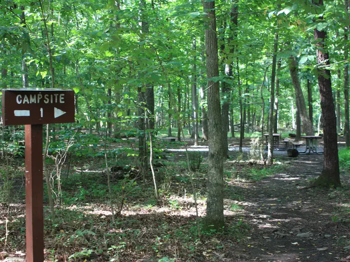 Marsden Tract Group Campsite