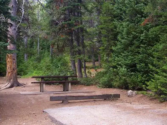 Cloverleaf Campground