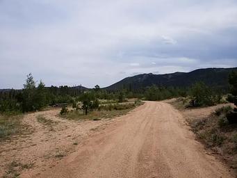 Yellow Pine CG near site 13