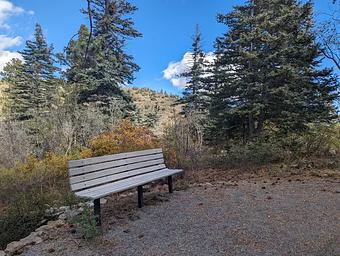 Balsam Glade Picnic Site
