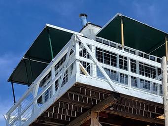 Lookout Tower Cabin- Walkway and hand railing painted white