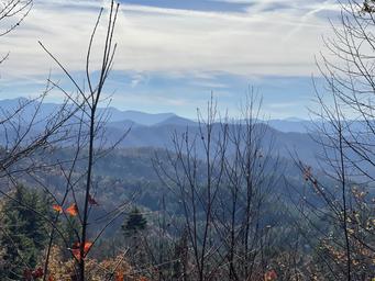 Cartoogechaye Creek Campground