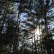 Campspot slideshow image 5