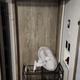2022 Forest River RV Wildwood Heritage Glen 369BL