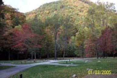 RACCOON BRANCH CAMPGROUND