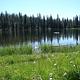 SUMMIT LAKE  WITH MEADOW