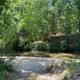 Silver Creek running shallow over a broad sandbar, shaded by trees on both banks.