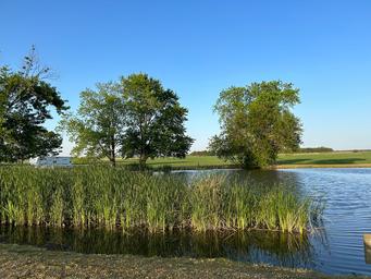 Pond and grounds panorama: wide view of the pond, shoreline and trees giving a sense of the campground’s scenery and layout (from Activities/gallery images).