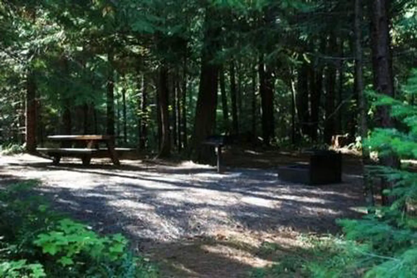 Deer Flat Group Site (horseshoe Bend Campground)