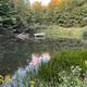 Scenic pond with dock and surrounding forest — shows on-property natural feature and waterfront setting referenced in the About page photos.