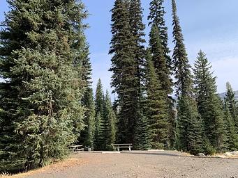 Tall conifer trees surround graveled parking area, with picnic table and fire ring in the background.