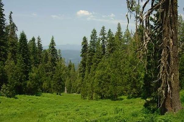 001, Loop: AREA BUTLER BUTTE CABIN